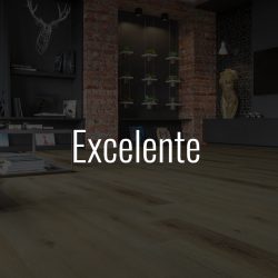 Excelente